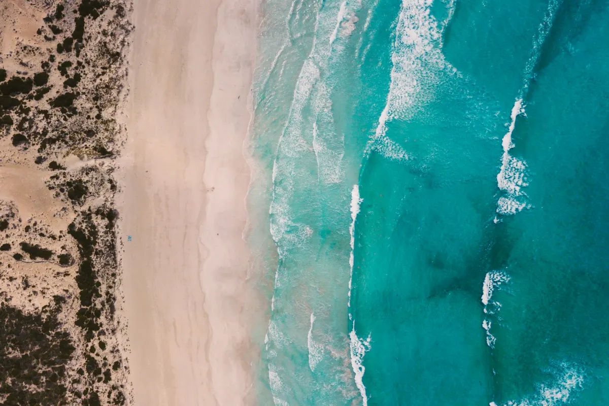 Drone view looking straight down on an Australian surf beach with dunes, whitewater over the inner sandbank, a darker gutter, an outer line of breakers and a dark gap in it