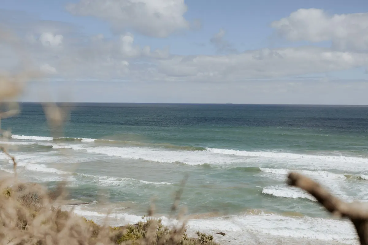 View from a dune over a surf beach at Portsea, Victoria, with lines of whitewater over the sandbanks, a calmer green gutter and deep blue water beyond