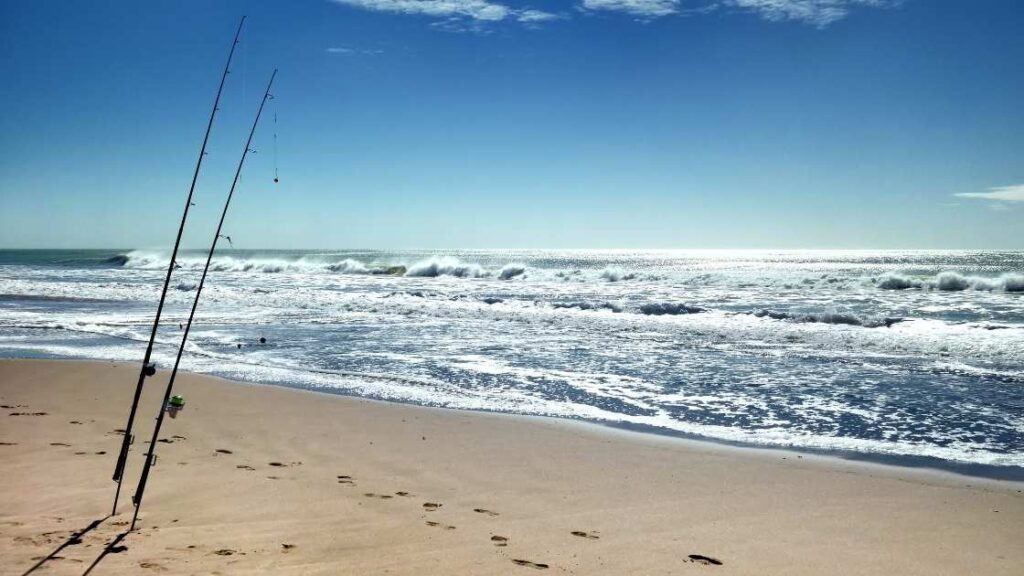 Beach surf fishing setup with rods in the sand and the best RC bait boat for surf fishing running bait out to the third sandbar